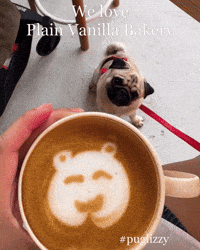 Coffee Time Singapore GIF