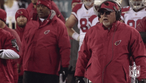 Arizona Cardinals Football GIF by NFL