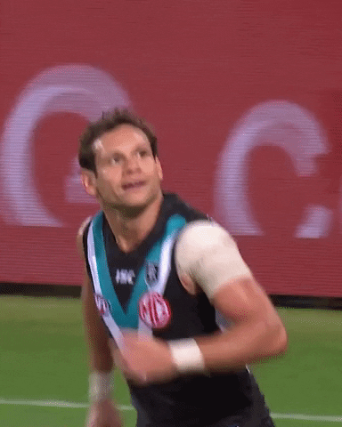 Football Celebration GIF by Port Adelaide FC