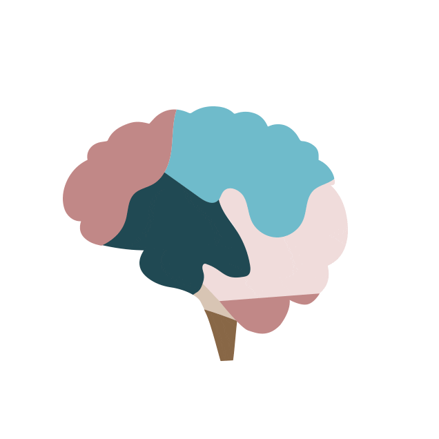 ocerebro thinking study brain mind Sticker