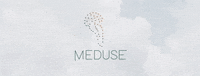 Medusept meduse travelwithpersonality medusept GIF