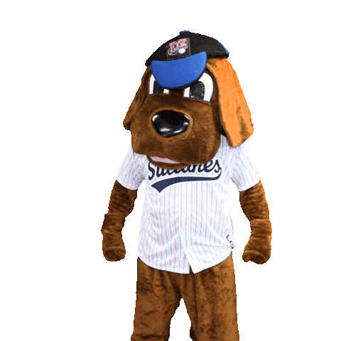 Monterrey Sultan Sticker by Sultanes Oficial