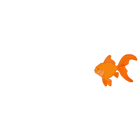 Fish Goldfish Sticker by jerichoroadclothing