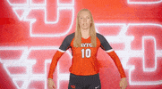 Daytonvolleyball GIF by Dayton Flyers