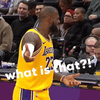 Come On What GIF by EsZ  Giphy World