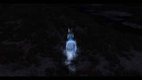 LossRec giphygifmaker GIF