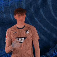 Sport Bundesliga GIF by TSG Hoffenheim