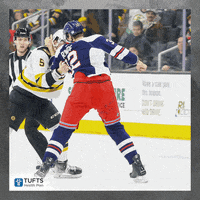 Boston Bruins GIF by Providence Bruins