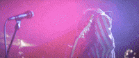 Shoelaces GIF by The Runarounds