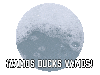 Anaheim Ducks Sticker by Sealed With A GIF