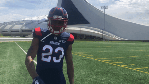 Montreal Alouettes Football GIF by Alouettes de Montréal