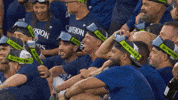Blue Jays Baseball GIF by Toronto Blue Jays