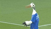 Bundesliga Stolle GIF by Holstein Kiel