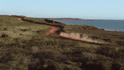 Mystery Road GIF by ABC Indigenous
