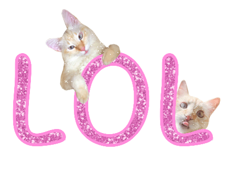 Pink Cats Sticker