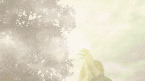 subpoprecords giphyupload august sub pop subpop GIF