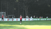 dance GIF by 1. FC Köln