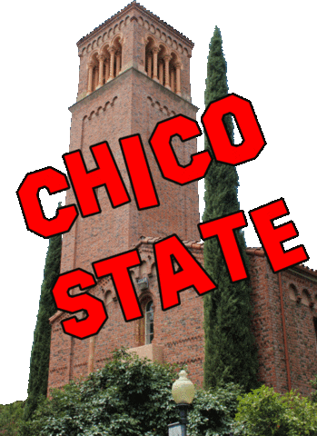 ChicoState giphyupload wildcats chico csu Sticker