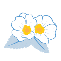 Omaq flower star flowers moon Sticker