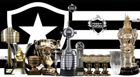 Botafogo De Futebol E Regatas GIF