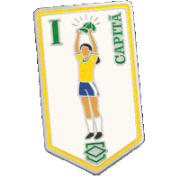 Futebol Copa Sticker by IZE