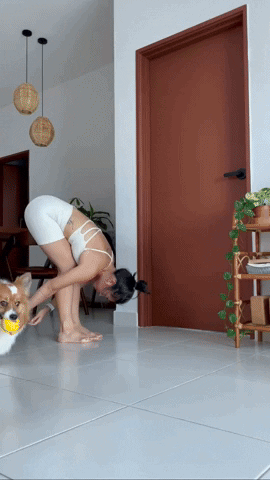 mikhailchugunov giphyupload GIF