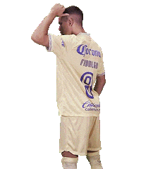 Sport Soccer Sticker by Club America