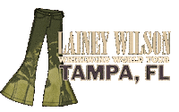 Wild Horses Florida Sticker by Lainey Wilson