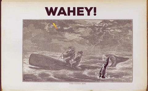 SFarley_Charlie giphygifmaker giphyattribution whale bad day GIF