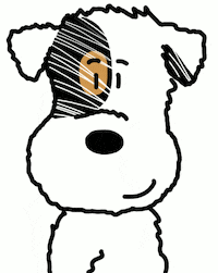Jack Russell No GIF
