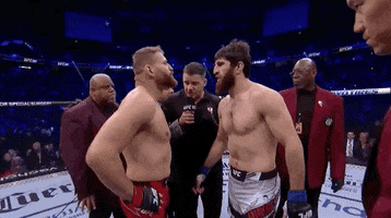 Face Off Sport GIF by UFC