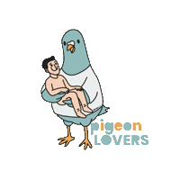 Bird Love Sticker