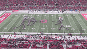 Looney Tunes Buckeyes GIF by tbdbitl