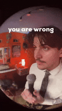 You Are Incorrect GIF by Showza