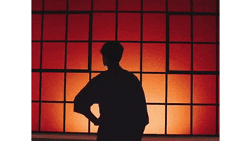 vampire weekend harmony hall GIF