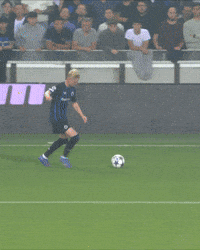 Football Soccer GIF by Club Brugge