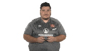 Ea Sports Fifa Sticker by Bundesliga