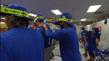 Blue Jays Baseball GIF by Toronto Blue Jays