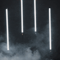 College Football Sport GIF by Texas Tech Football