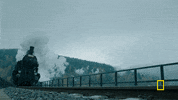 genius GIF by National Geographic Channel