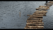 thebridgeau thebridgeau thebridgeaustralia tbau bridgeaustralia GIF