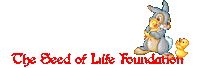 Climate Change Plant Sticker by The Seed of Life Foundation