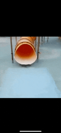 reaction mood GIF