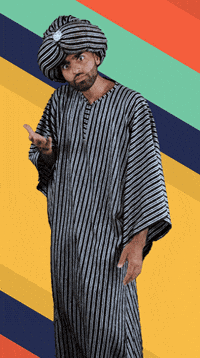 What Do You Want Wtf GIF by The Sultan