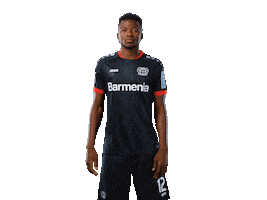 Bayer 04 Werkself Sticker by Bayer 04 Leverkusen