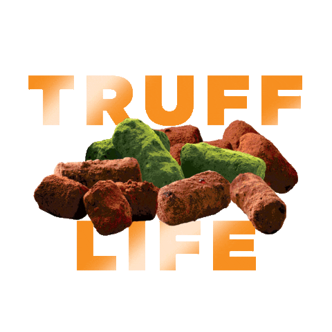 lesucrelabph giphyupload caramel truffles dark chocolate Sticker