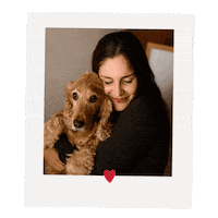 enyakyokaiphoto amor mascota cocker enya Sticker