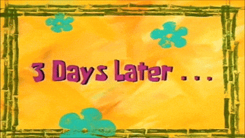 3 days later...