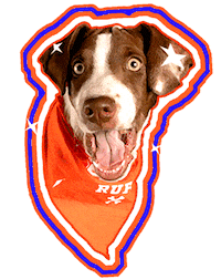 Dog What Sticker by Puppy Bowl