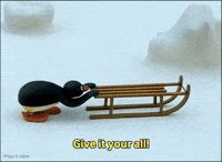Go For It Good Job GIF by Pingu